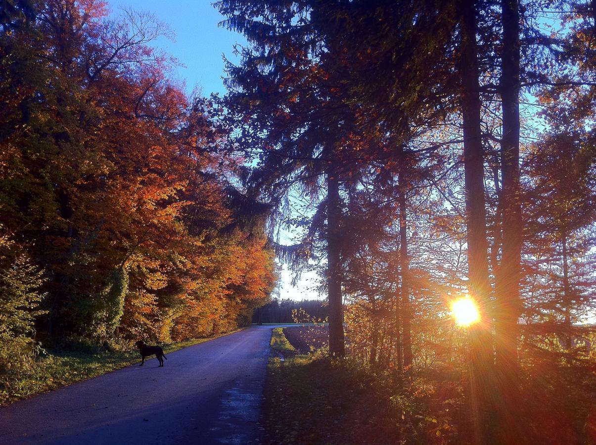 Gasthof Teufl Purgstall an der Erlauf Buitenkant foto