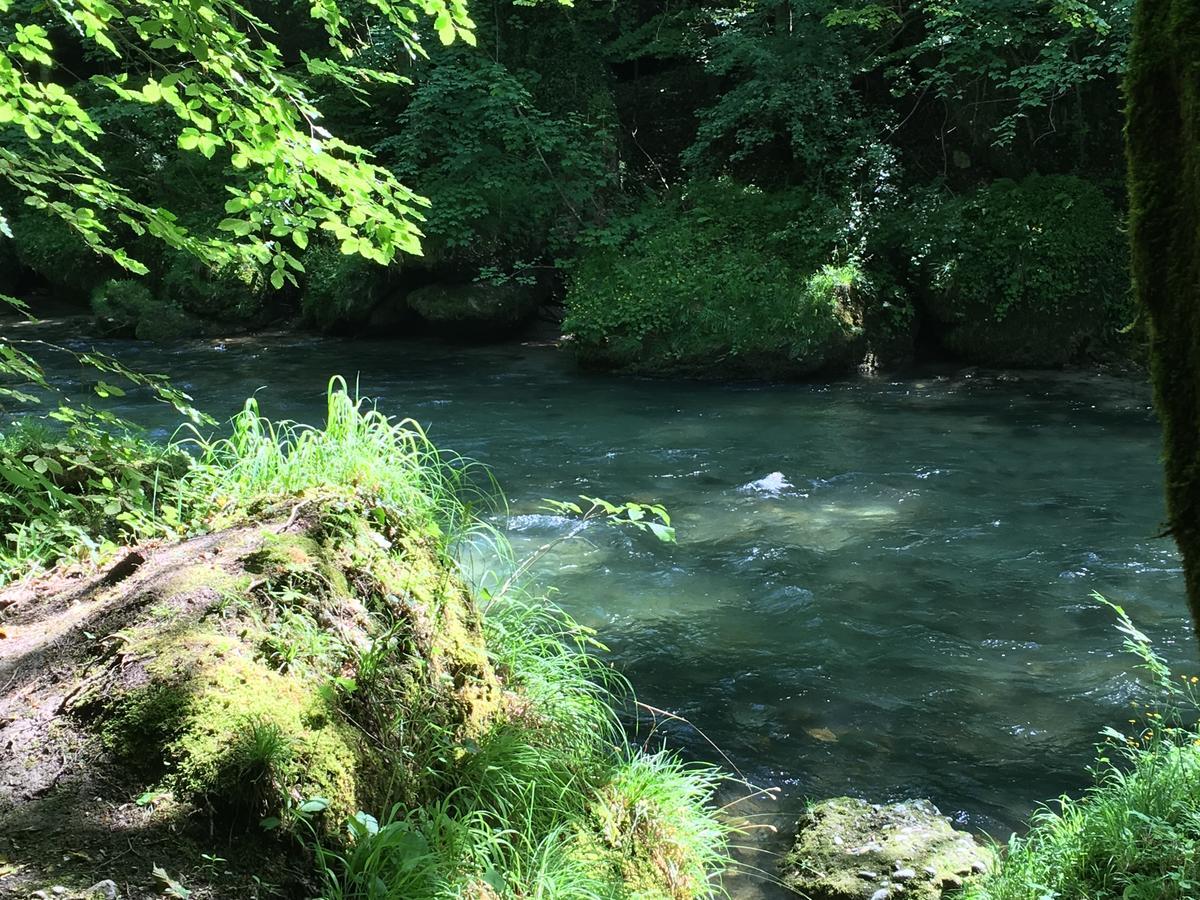 Gasthof Teufl Purgstall an der Erlauf Buitenkant foto